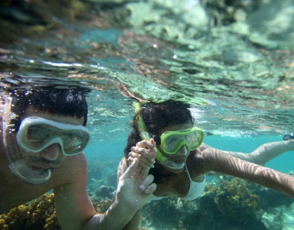 Snorkel con peces
