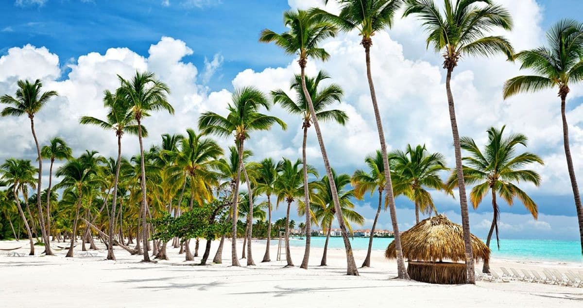 Día 8